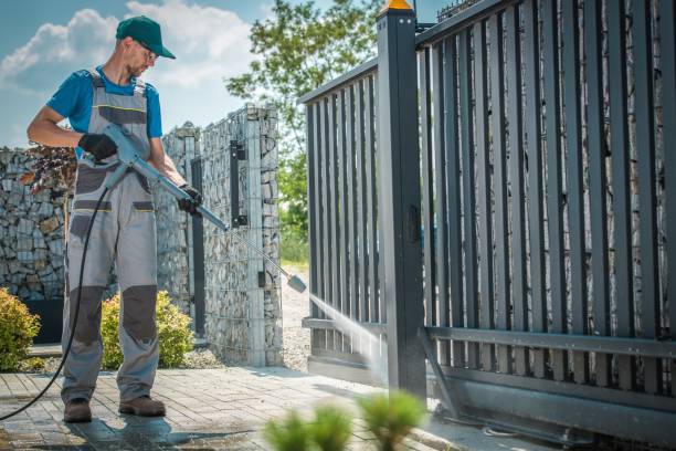 Best Graffiti Removal  in Dexter, MO