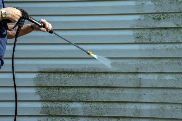 Best Pool Deck Cleaning  in Dexter, MO
